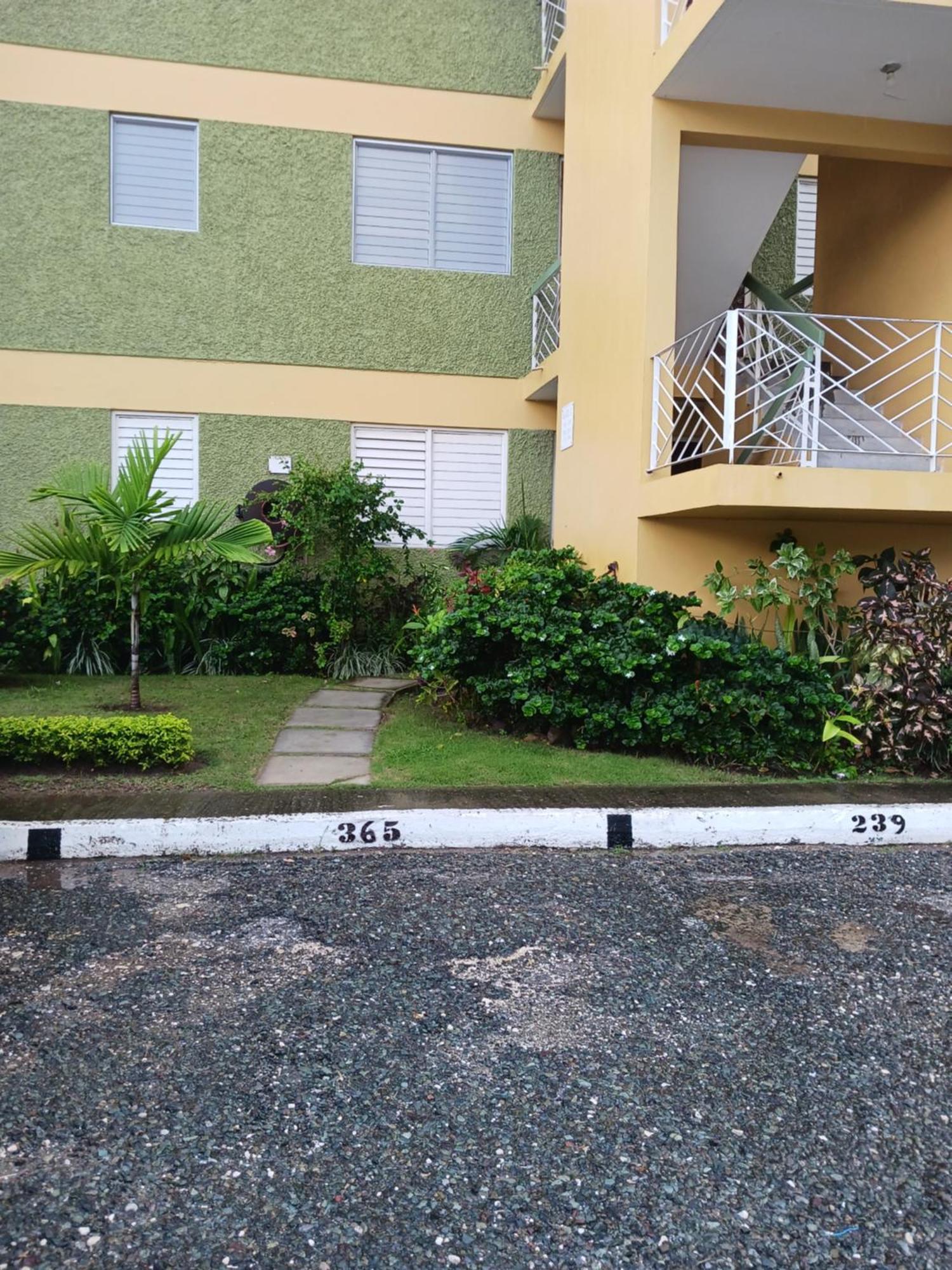 Appartamento Chelsea Manor Kingston Esterno foto